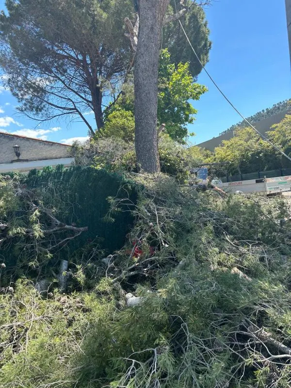 Jardin entretenu après intervention de Wes Élagueur à Aubagne